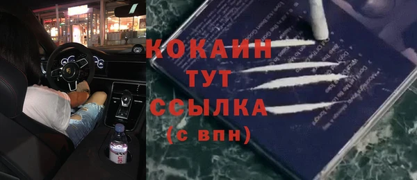 spice Абаза
