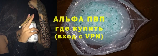 СК Алексин