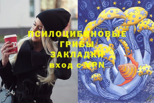 СК Алексин