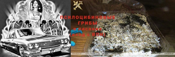spice Абаза