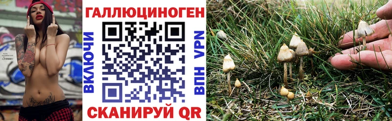 Псилоцибиновые грибы Psilocybine cubensis  Камызяк 